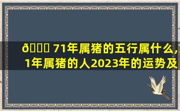 🐞 71年属猪的五行属什么,71年属猪的人2023年的运势及运程